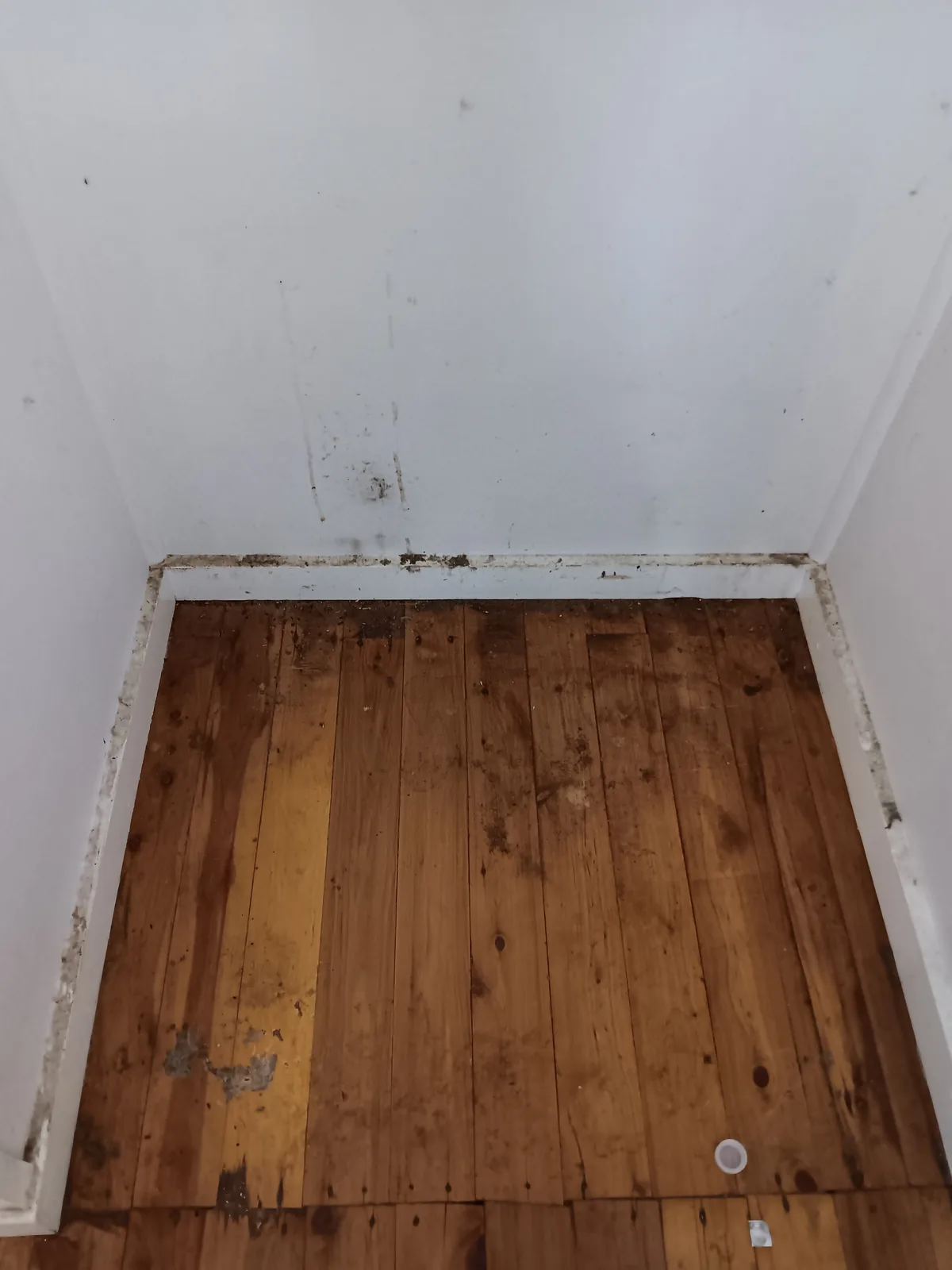 Property after a detailed clean